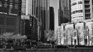 Preview wallpaper buildings, trees, city, black and white