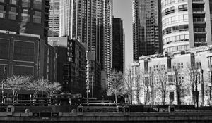 Preview wallpaper buildings, trees, city, black and white