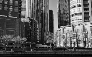 Preview wallpaper buildings, trees, city, black and white