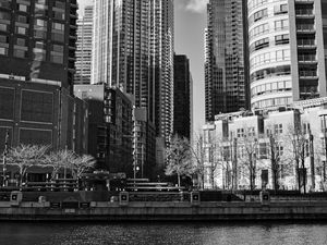 Preview wallpaper buildings, trees, city, black and white
