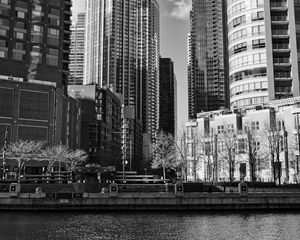 Preview wallpaper buildings, trees, city, black and white