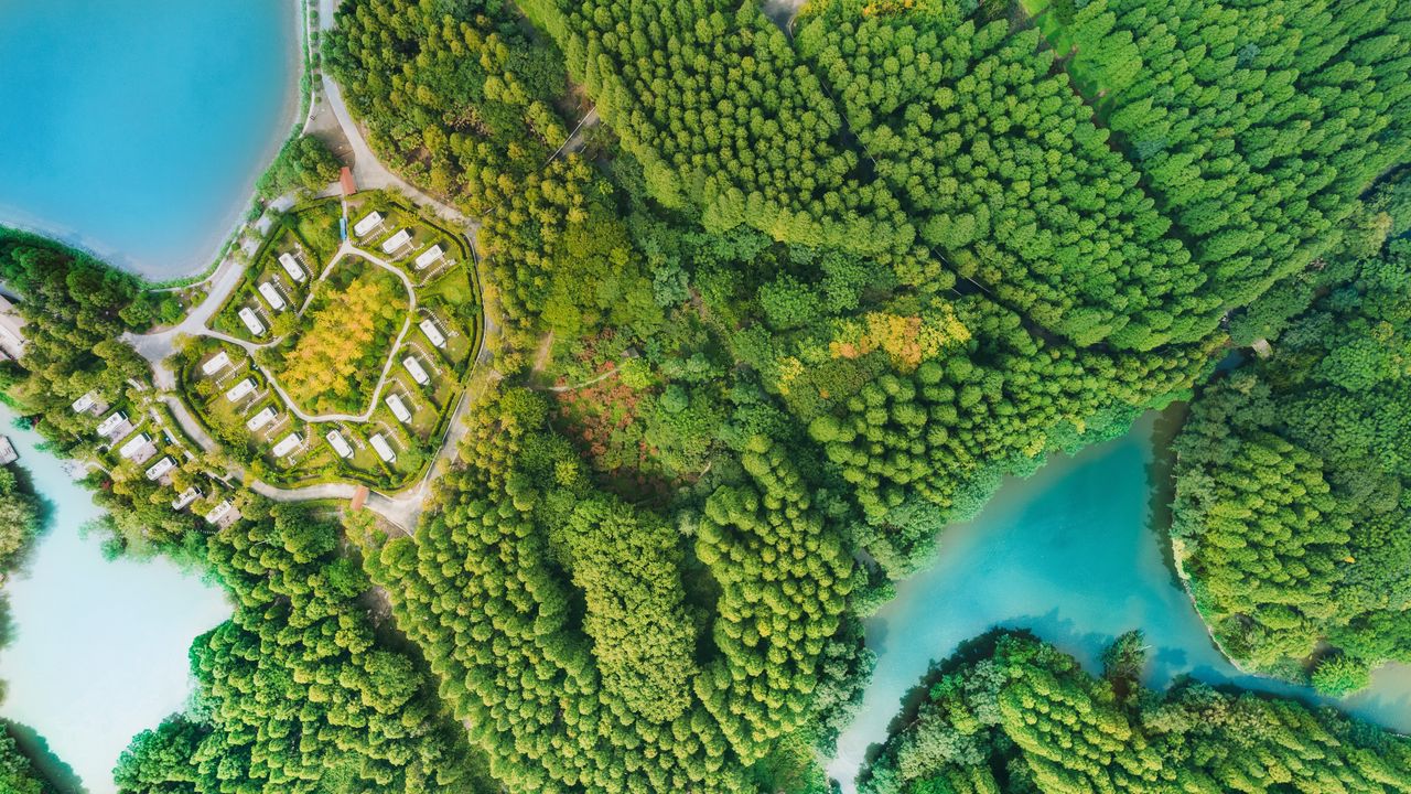 Wallpaper buildings, trees, road, aerial view, forest