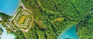 Preview wallpaper buildings, trees, road, aerial view, forest