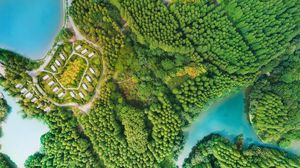 Preview wallpaper buildings, trees, road, aerial view, forest