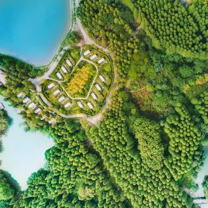 Preview wallpaper buildings, trees, road, aerial view, forest