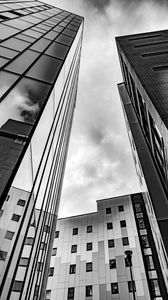 Preview wallpaper buildings, windows, mirrored, facades, architecture, black and white
