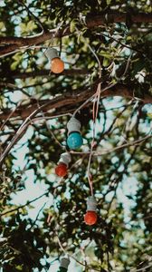 Preview wallpaper bulbs, garland, multicolored, tree, branches