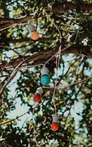 Preview wallpaper bulbs, garland, multicolored, tree, branches