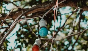 Preview wallpaper bulbs, garland, multicolored, tree, branches