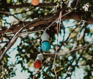 Preview wallpaper bulbs, garland, multicolored, tree, branches