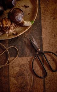 Preview wallpaper bulbs, scissors, wooden