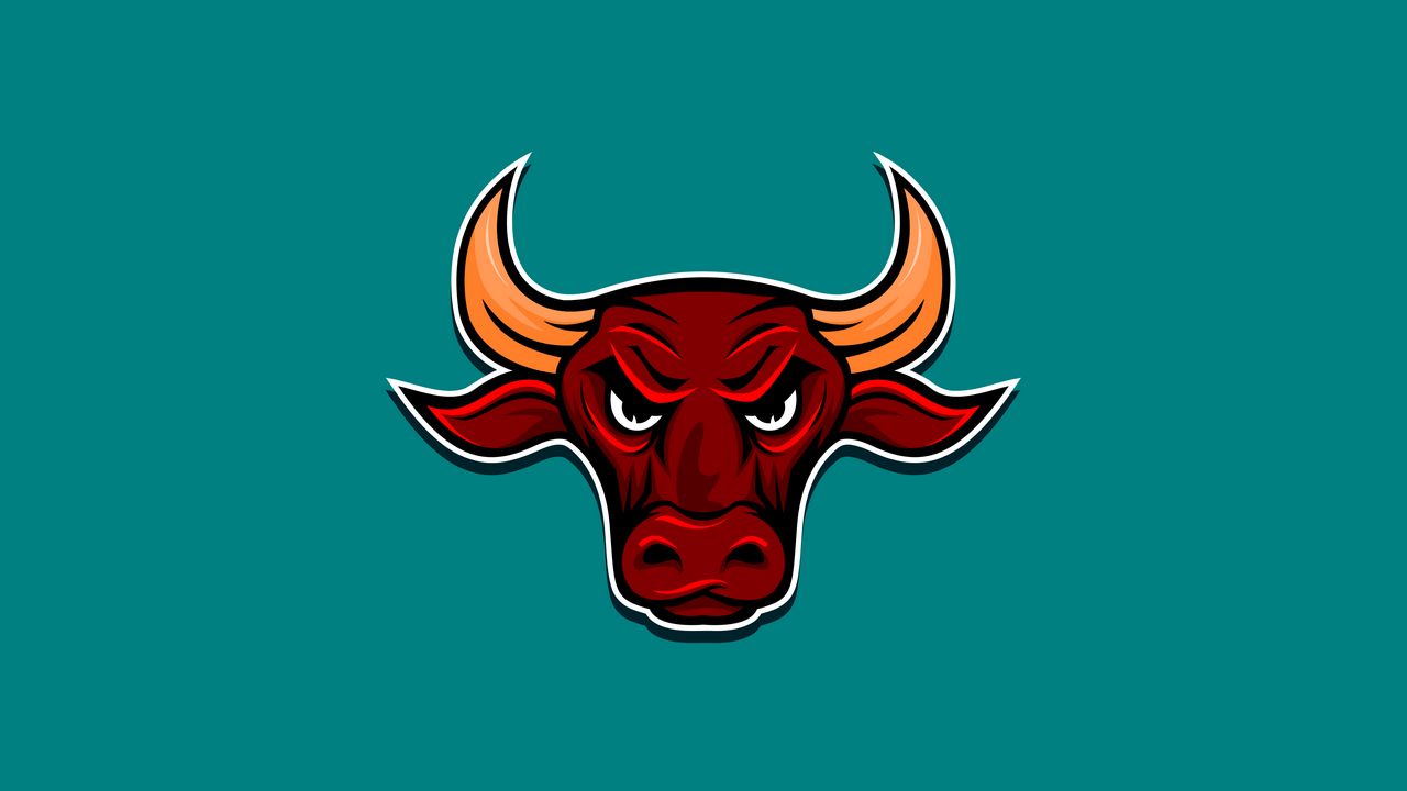 Wallpaper bull, angry, horns, vector