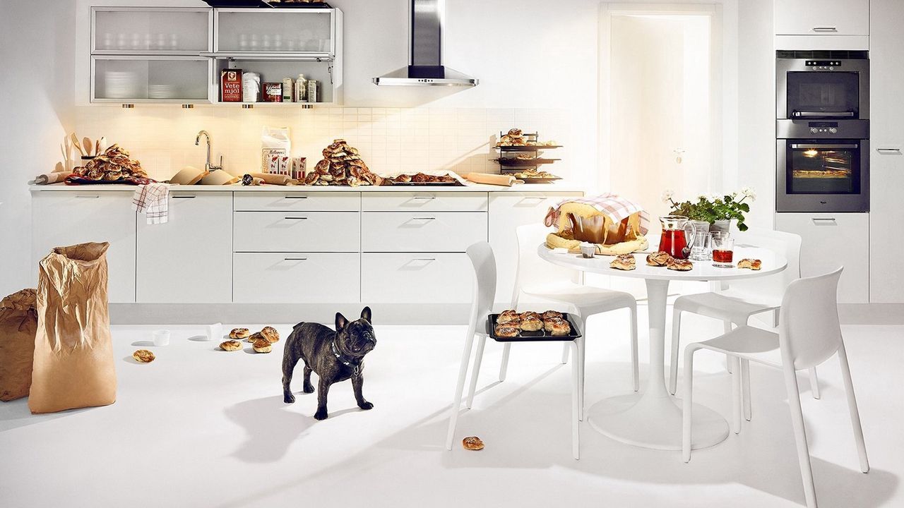 Wallpaper bulldog, dog, kitchen, food