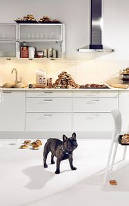 Preview wallpaper bulldog, dog, kitchen, food