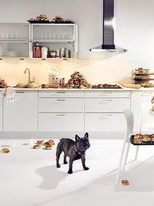 Preview wallpaper bulldog, dog, kitchen, food