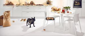 Preview wallpaper bulldog, dog, kitchen, food