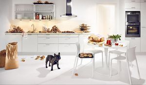 Preview wallpaper bulldog, dog, kitchen, food