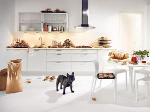 Preview wallpaper bulldog, dog, kitchen, food