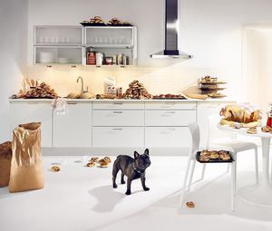 Preview wallpaper bulldog, dog, kitchen, food