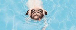 Preview wallpaper bulldog, dog, tongue protruding, water, art