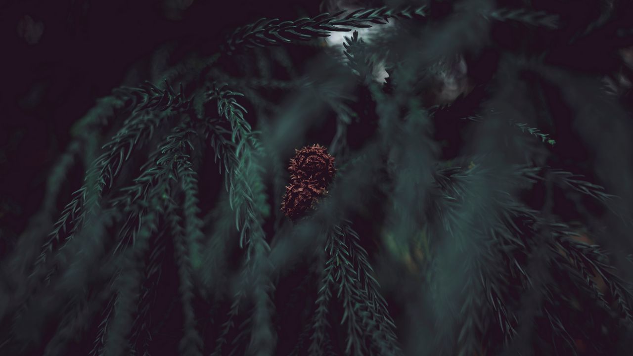 Wallpaper bump, branches, blur, green