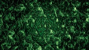 Preview wallpaper bumps, ribbed, surface, dark green