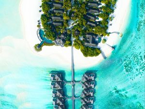 Preview wallpaper bungalow, aerial view, ocean, tropics, palm trees