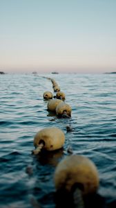 Preview wallpaper buoys, water, horizon, sea