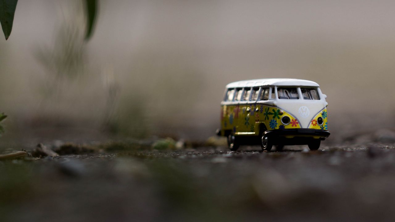 Wallpaper bus, branch, leaves, macro hd, picture, image