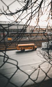 Preview wallpaper bus, branches, road, city