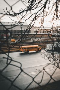 Preview wallpaper bus, branches, road, city