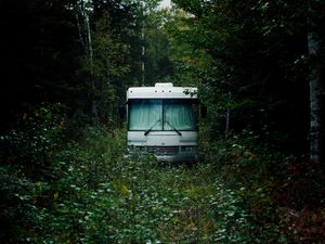 Preview wallpaper bus, white, forest, nature