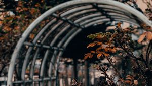 Preview wallpaper bush, branches, leaves, dry, autumn