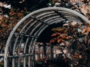 Preview wallpaper bush, branches, leaves, dry, autumn