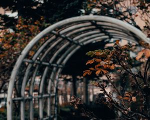 Preview wallpaper bush, branches, leaves, dry, autumn