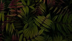 Preview wallpaper bush, leaves, plant, green, macro