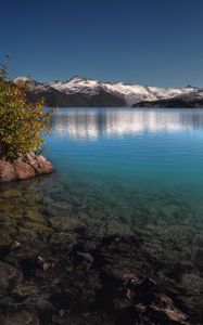 Preview wallpaper bush, mountains, lake, transparent, bottom, stones