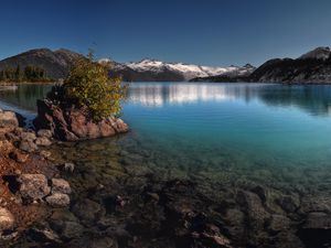 Preview wallpaper bush, mountains, lake, transparent, bottom, stones