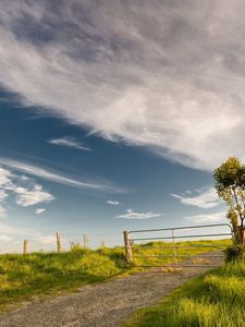 Preview wallpaper bush, protection, gate, road, grounds