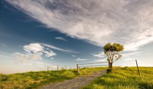 Preview wallpaper bush, protection, gate, road, grounds