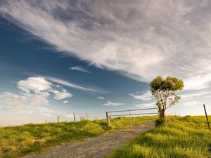 Preview wallpaper bush, protection, gate, road, grounds