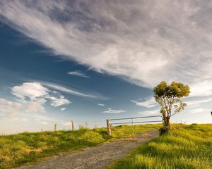 Preview wallpaper bush, protection, gate, road, grounds