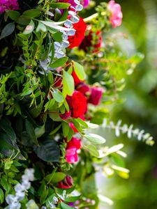 Preview wallpaper bush, roses, flowers, leaves, macro