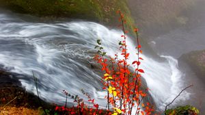 Preview wallpaper bushes, autumn, water, stream, river, leaves, yellow, orange, rods