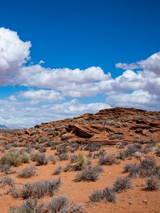 Preview wallpaper bushes, desert, stones, relief, clouds