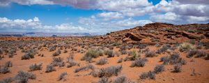 Preview wallpaper bushes, desert, stones, relief, clouds