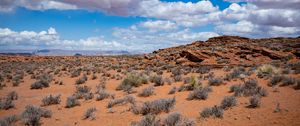 Preview wallpaper bushes, desert, stones, relief, clouds