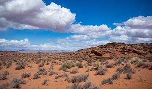 Preview wallpaper bushes, desert, stones, relief, clouds