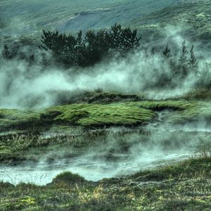 Preview wallpaper bushes, hills, fog, grass