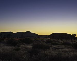 Preview wallpaper bushes, hills, line, glow, evening